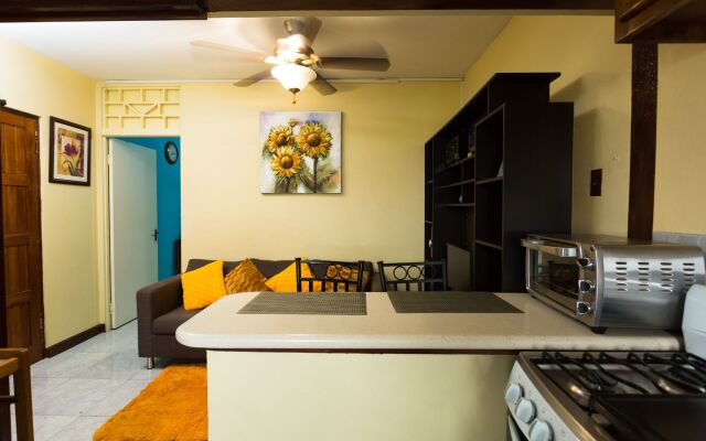 New Kingston Most Central Guest Apt