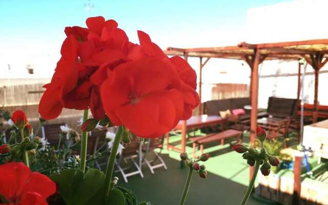 Summer Hostel Cádiz