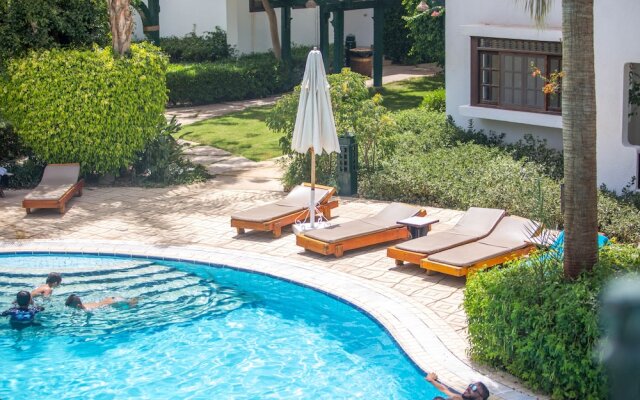Luxurious One Bedroom Apartment by pool