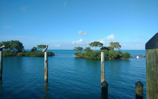 Conch Key Fishing Lodge and Marina