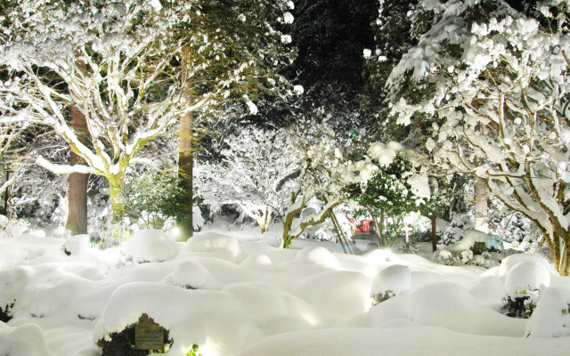 Fuga No Yado Chouseikan