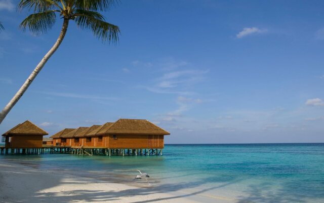 Veligandu Maldives Resort Island