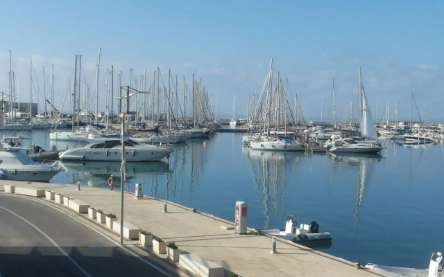 Acacia Marina