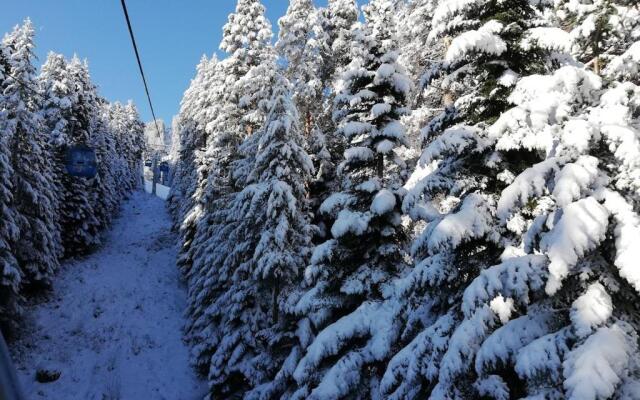 BANSKO WINSLOW INFINITY - Studio