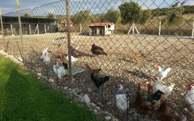 Özbek Çiftlikevi
