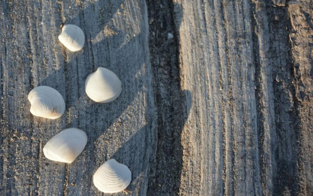 Hotel Residencia Patilla II