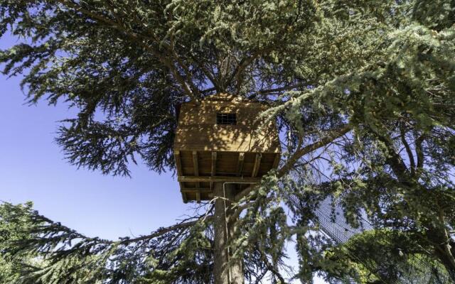 Villa Romeo with tree house