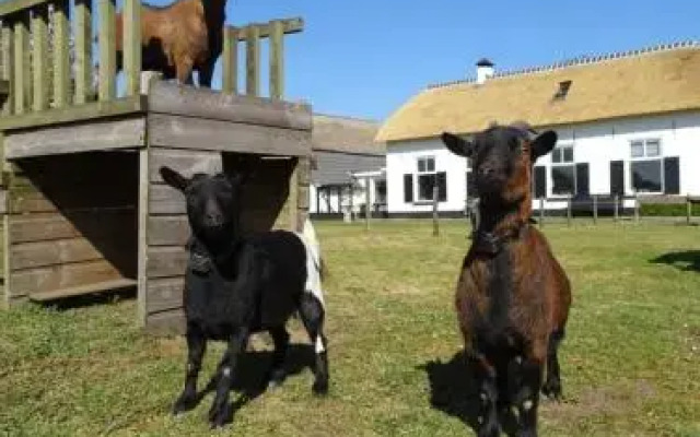 Vakantiehuis ''De Bolle''