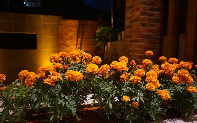 Yuanxiang Life Inn