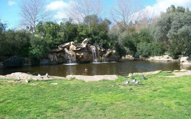 Terranova