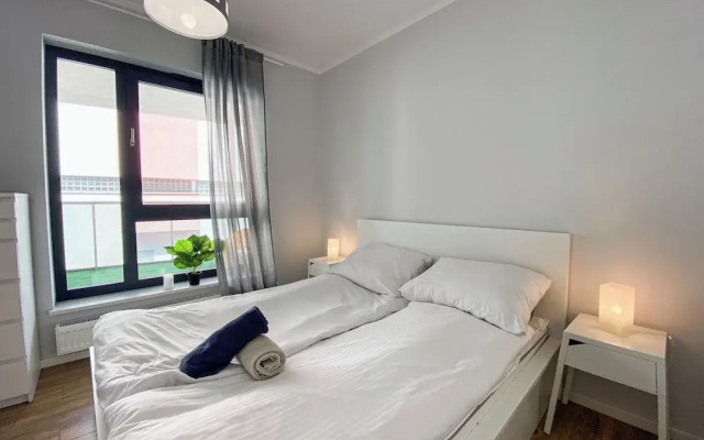 BP I Premium