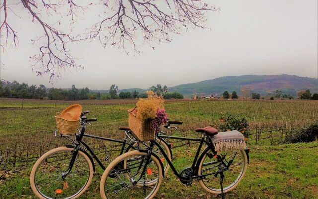 Terra Rosa Country House & Vineyards