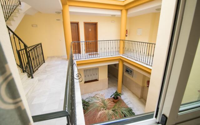 New Wood Studio Plaza la Merced