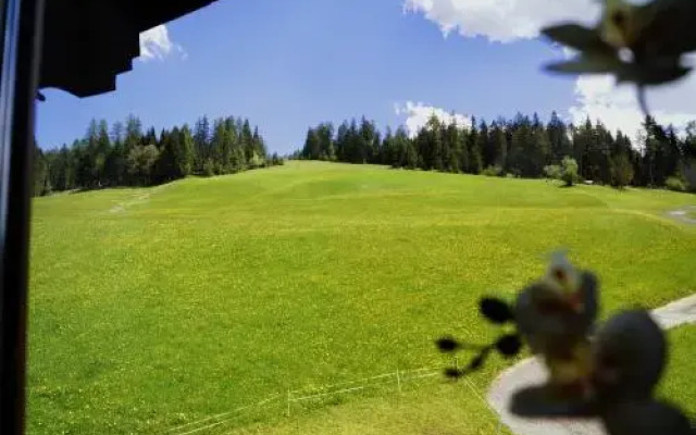 Sauschneidhof - Radstadt