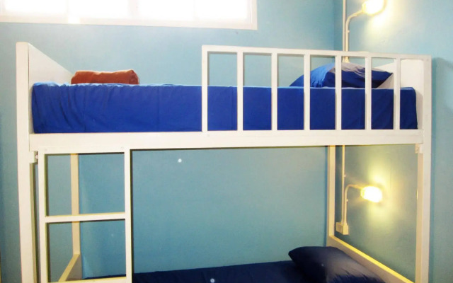 Treechart Hostel