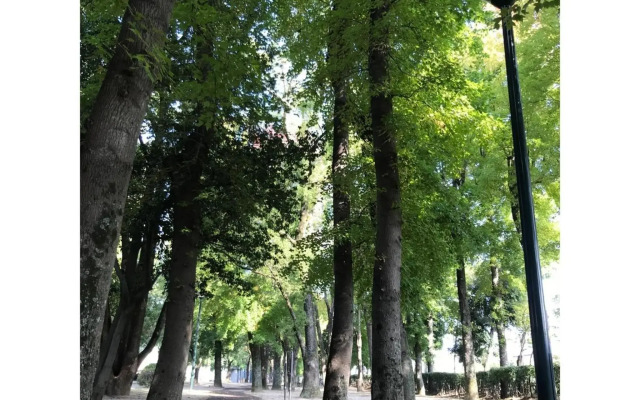 Recent Culture Hotel