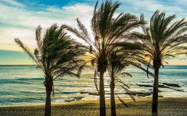 IRIS Nº 131 Benalmadena
