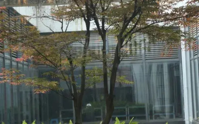 Jindaoxia Liangjiang Holiday Hotel