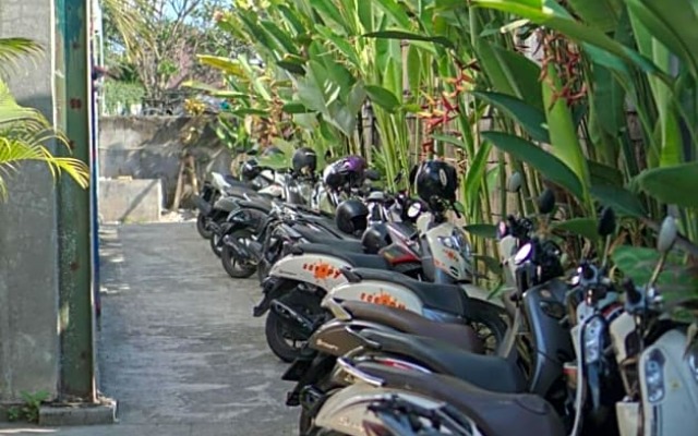 Tropical Canggu