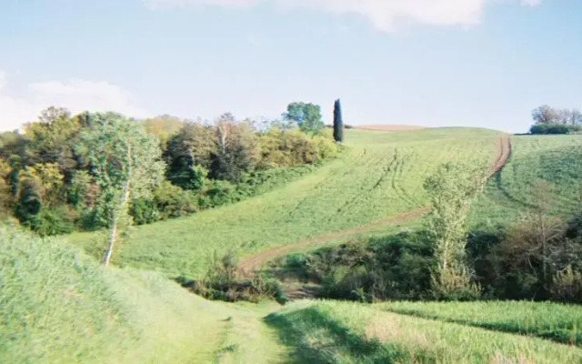 Villa Montisi - Podere Ampella