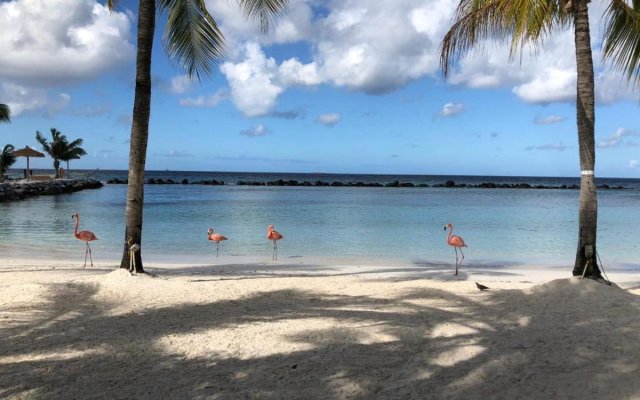 Renaissance Wind Creek Aruba Resort