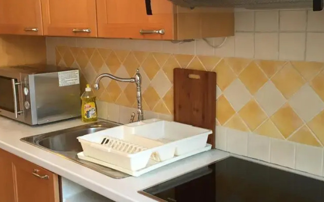 Apartment Merkur