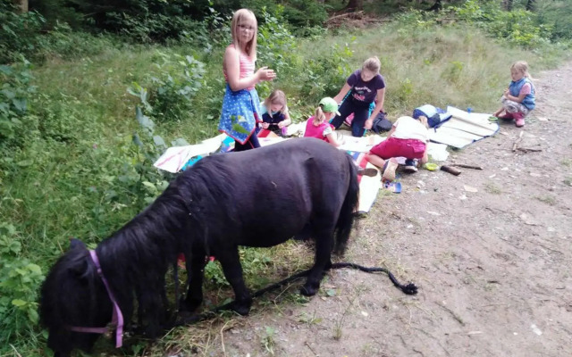 Erlebnisbauernhof Sternhof