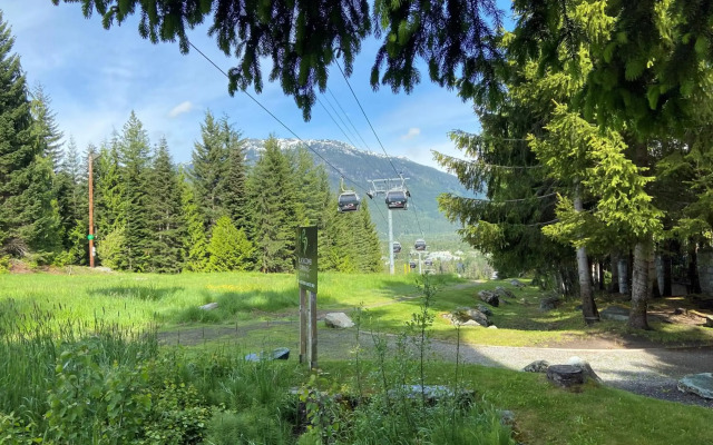 Blackcomb Springs Suites by CLIQUE