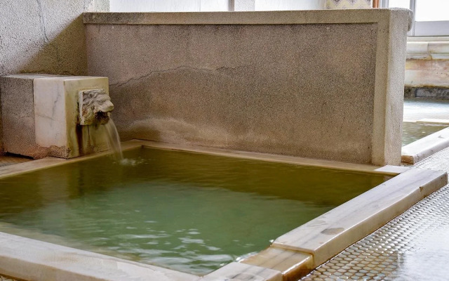 HInaguonsen Yanagiya Ryokan