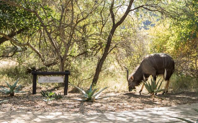 The River Lodge At Thornybush