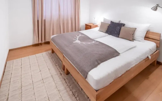 Schmitten & cityXpress Apartment 1 and 2