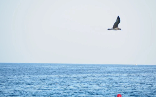 House in Palamos for 9 people