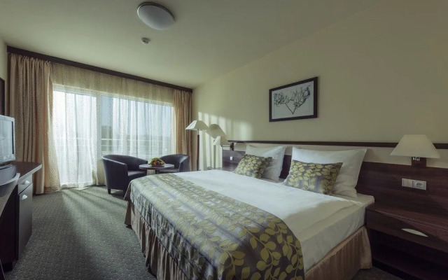 Spa Resort Tree of Life