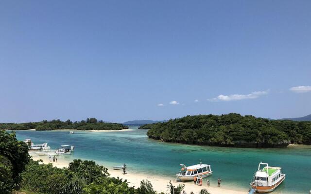 Painushima Resort Coral Fish