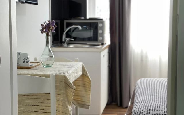 Central Studio Apartments