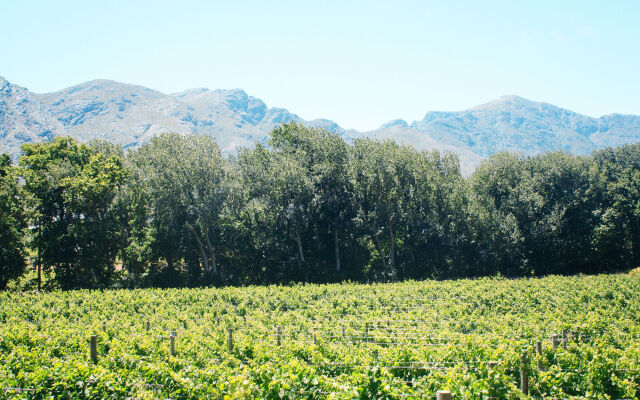 Basse Provence Country House