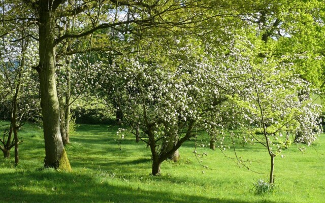 The Larches Ledbury Bed and Breakfast