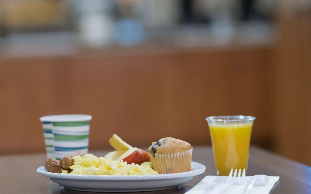 Comfort Inn And Suites Custer