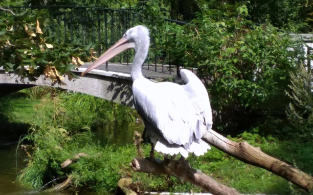 Mariahilfer Apartment