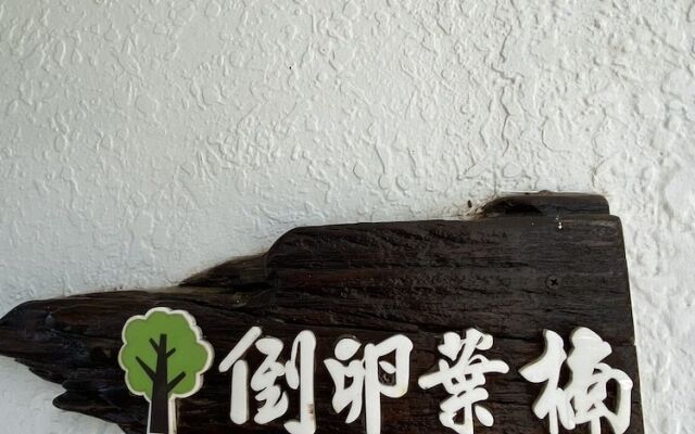 Lin's Forest