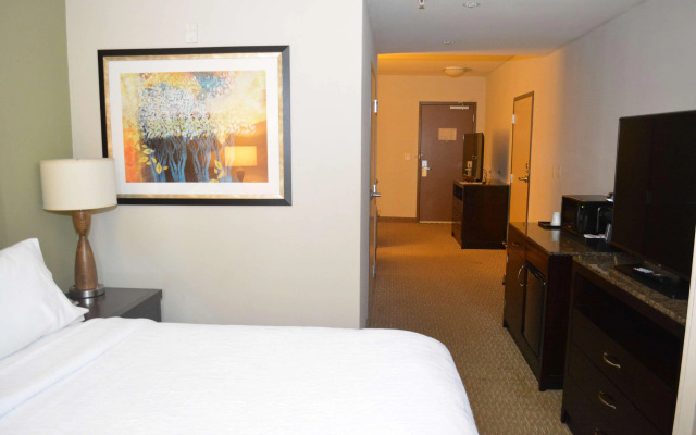 Hilton Garden Inn Houston-Pearland