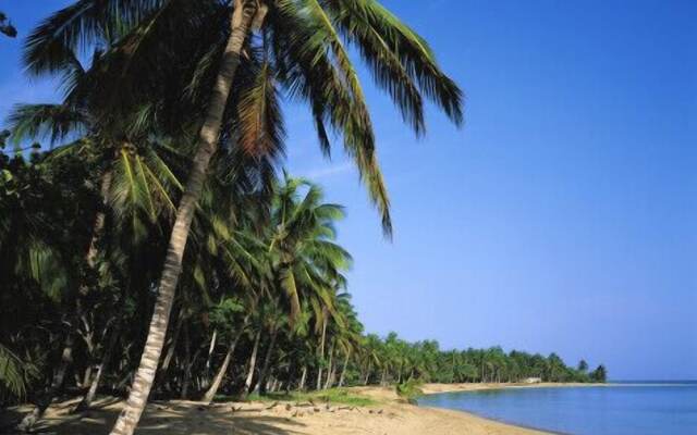 Punta Cana Hostel