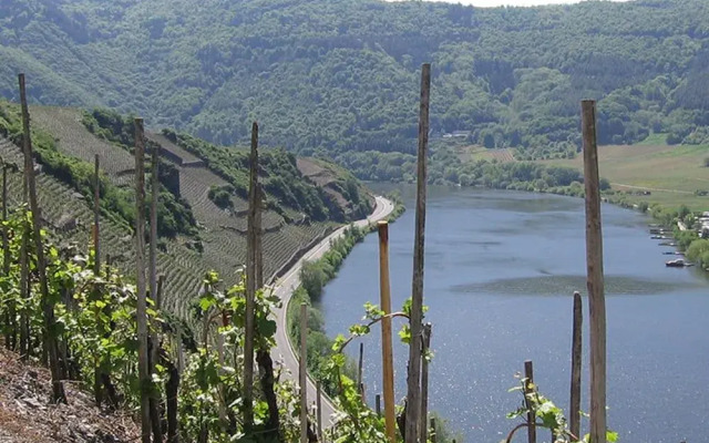 Classisches Weingut Hoffranzen