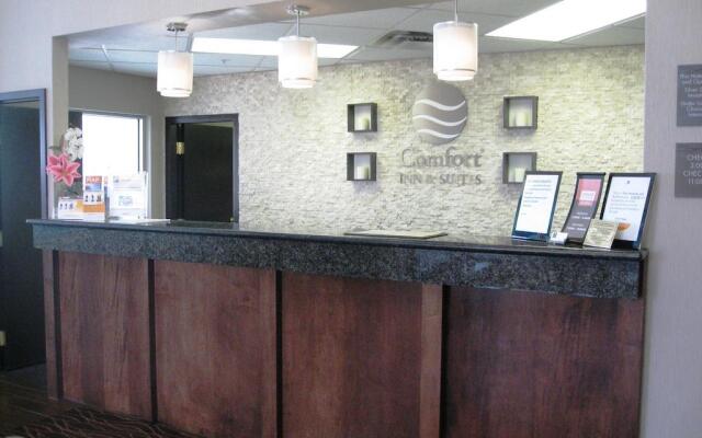 Comfort Inn & Suites Airport South