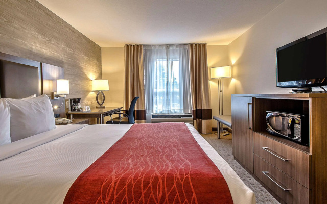 Comfort Inn And Suites South