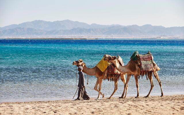 Kempinski Hotel Soma Bay