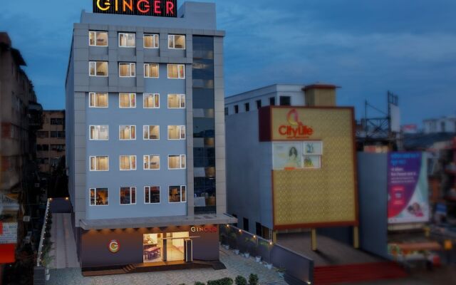 Ginger Patna