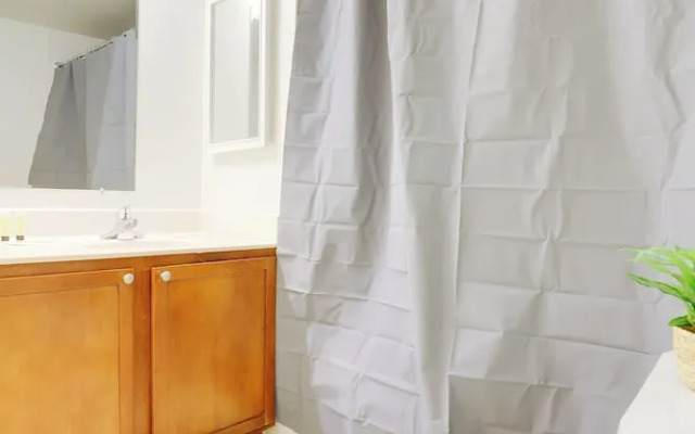 Comfortable Apt in Crystal City