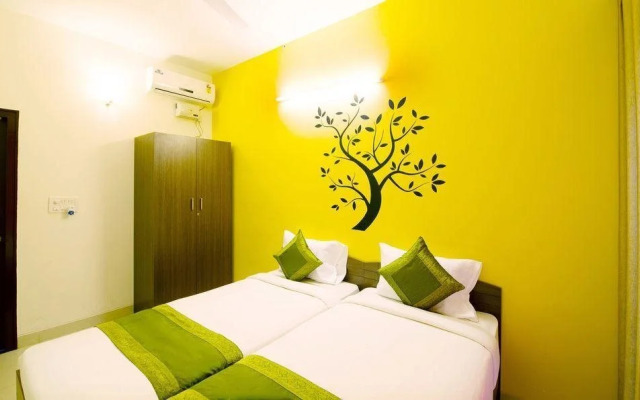 Treebo Iwe Studio