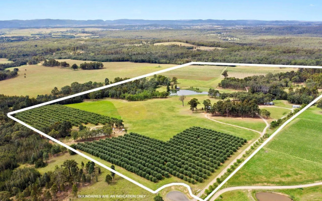 Block Eight 5 Gum Trees Luxe Villa